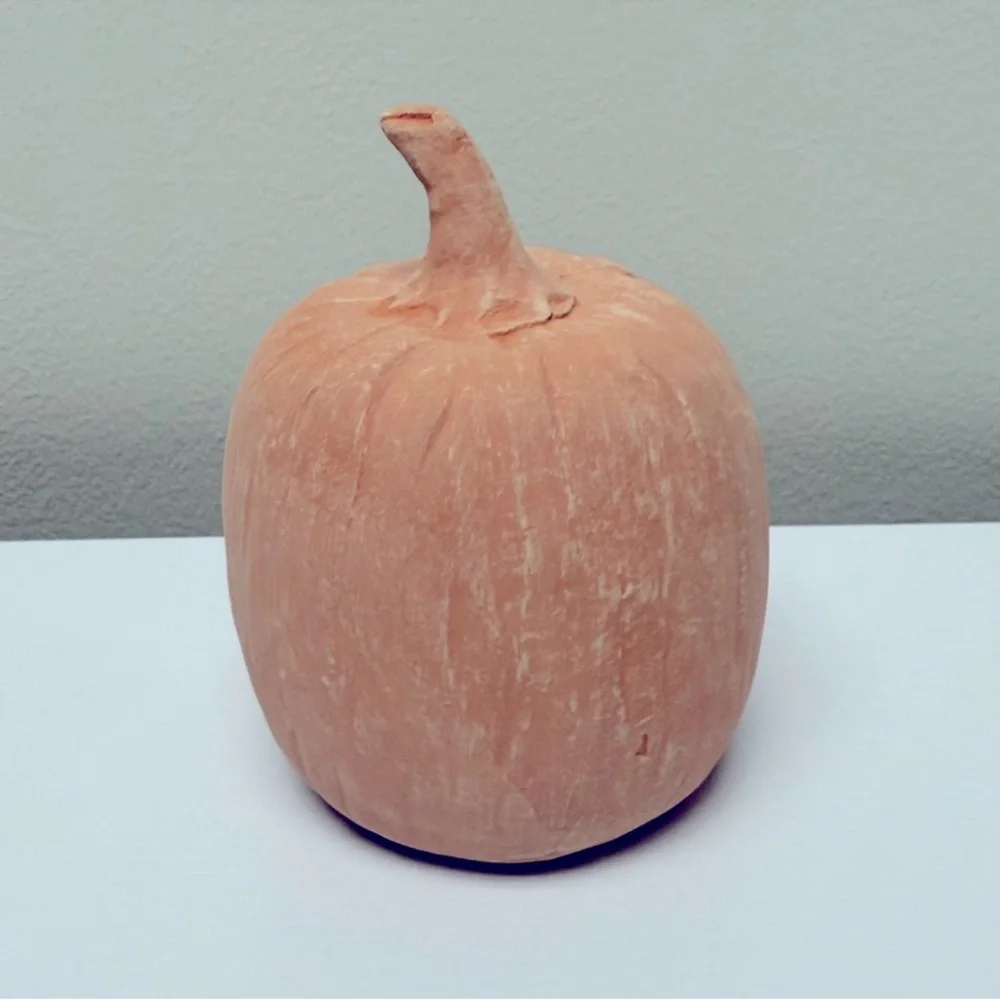 Target Bullseye Playground Fall Thanksgiving 4” Orange Terracotta Pumpkin